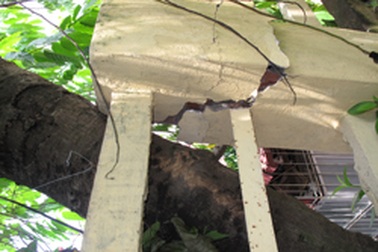 Người dân phố Tràng Thi đối mặt với “tử thần”