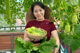 Vườn trên mái 30m2, mẹ đảm mắc "võng" đỡ dưa, làm nhà cho rau