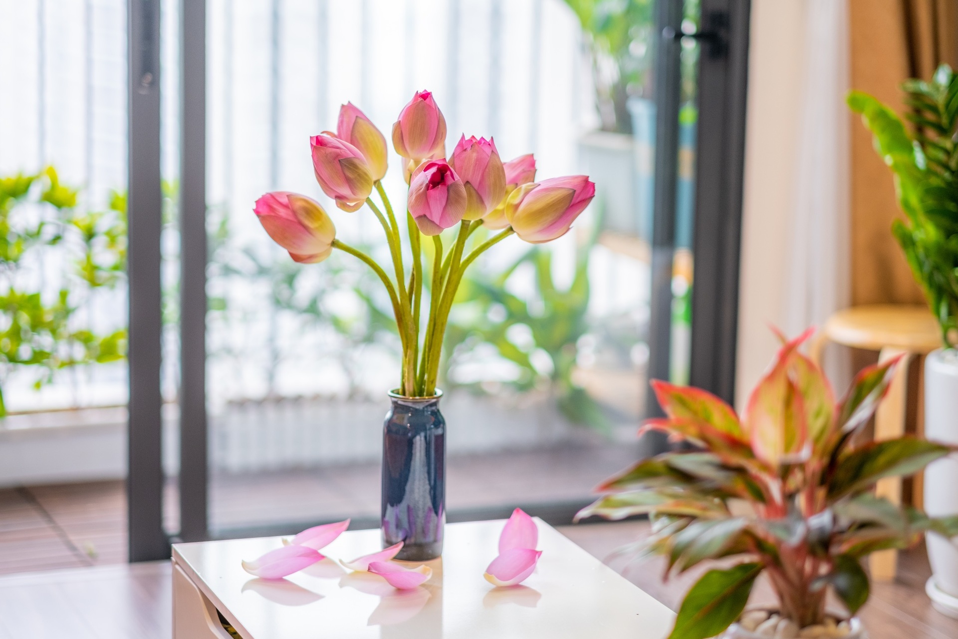 Lạ mắt với căn hộ có nội thất tông cam của anh chàng độc thân - 7 Lạ mắt với căn hộ có nội thất tông cam của anh chàng độc thân - 7