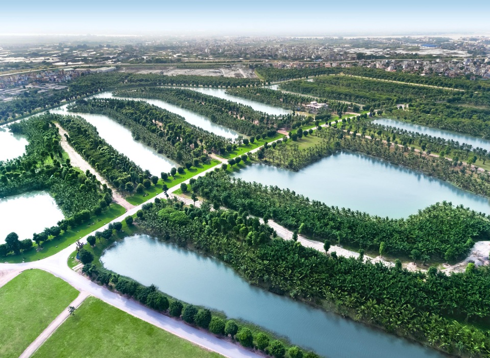 Vì sao chất lượng không khí ở Ecopark lại sánh ngang châu Âu? - 4 Vì sao chất lượng không khí ở Ecopark lại sánh ngang châu Âu? - 4