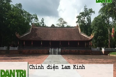 Kỳ bí câu chuyện cây lim cổ thụ 600 năm tuổi “hiến thân” tại Lam Kinh