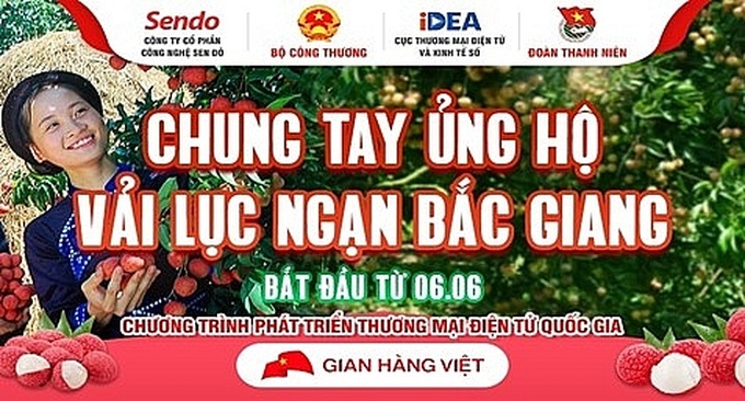 Xoay chuyển tình thế tiêu thụ vải thiều giữa tâm dịch Covid-19 - Ảnh 2.