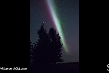 STEVE – cực quang xuất hiện lần đầu với màu tím nhạt