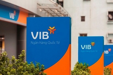 VIB thu xếp cấp tín dụng hợp vốn 780 tỷ đồng cho EVN