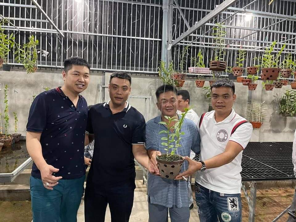 Nghệ nhân chia sẻ cách phòng bệnh héo rễ thường gặp ở hoa lan - 1 Nghệ nhân chia sẻ cách phòng bệnh héo rễ thường gặp ở hoa lan - 1