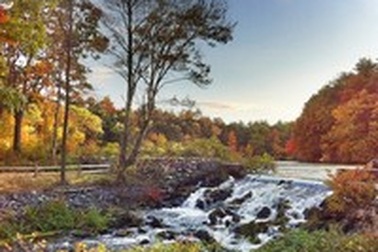 Mùa thu tuyệt đẹp dưới ống kính của iPhone