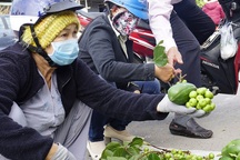 Nô nức đi phiên chợ một năm họp duy nhất ngày mùng 1 Tết