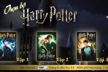 Dịp nghỉ lễ, ở nhà xem gì?