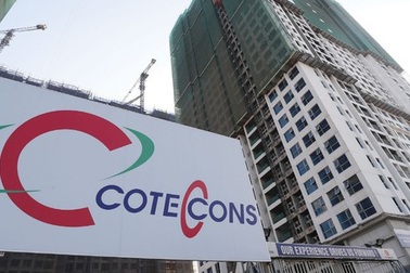 Cổ đông ngoại đòi "lật ghế" sếp Coteccons, Chủ tịch Hiệp hội VACC nói gì?