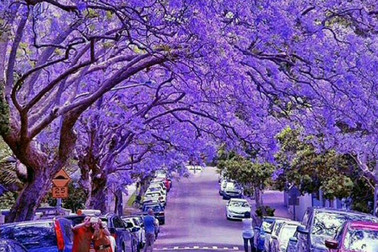 Những góc phố đẹp lãng mạn như trong cõi mộng