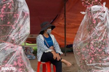 Chợ cuối năm, người bán hoa Tết đồng loạt "xả hàng vớt  cú  chót"