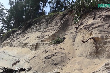 Sạt lở nghiêm trọng tại bờ biển Hội An