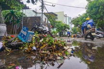 Nước lụt tại Đà Nẵng rút dần, rác thải bủa vây nhiều nơi