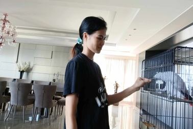 Người Việt giúp việc đại gia Trung Đông: Ở nhà 500m2, ra phố có lái xe đưa