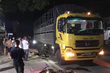 Xe máy kẹp 3 đâm xe tải dừng bên đường, 2 chú cháu tử vong