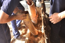 Phát hiện gần 500 kg ngà voi được giấu tinh vi trong các khúc gỗ