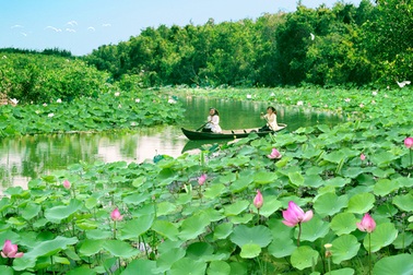 Vườn quốc gia Tràm Chim trở thành Di tích cấp quốc gia
