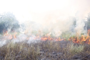 Hà Nội: Cháy lớn tại bãi cỏ gần Keangnam