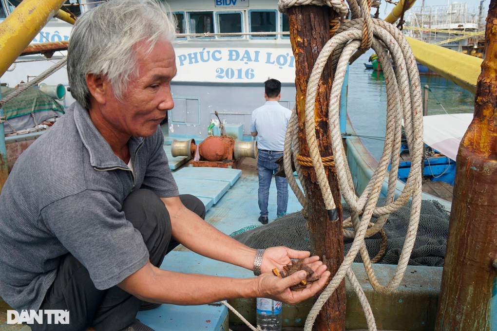Bão giá xăng, chi phí đi biển tăng gấp đôi, ngư dân tỷ phú cũng chào thua - 2 Bão giá xăng, chi phí đi biển tăng gấp đôi, ngư dân tỷ phú cũng chào thua - 2