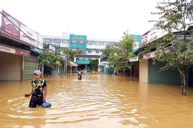 Liên Hợp Quốc hỗ trợ Việt Nam hơn 4 triệu USD khắc phục thiên tai