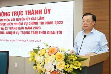 Bí thư Hà Nội: Gia Lâm trở thành quận, dân phải giàu, kinh tế phải mạnh