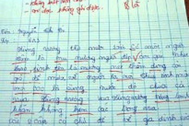 Học sinh giỏi nhưng điểm kiểm tra chỉ đạt 1-3