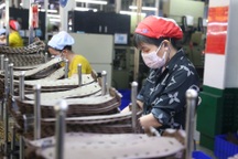 Lao động đăng ký nhận trợ cấp thất nghiệp giảm mạnh