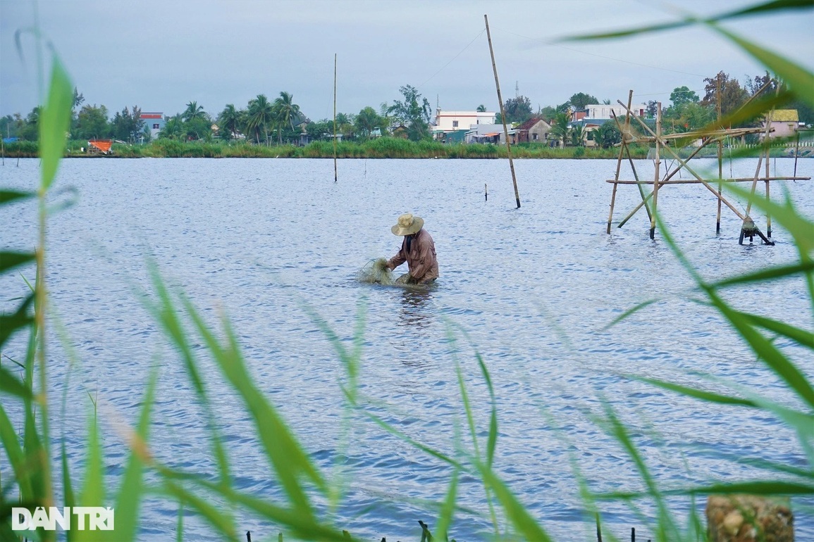 Theo chân những người dầm mình, ngâm nước cào hến ở sông Trường Giang - 14 Theo chân những người dầm mình, ngâm nước cào hến ở sông Trường Giang - 14
