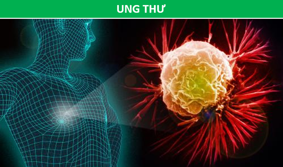 Thường xuyên bị tiêu chảy không chỉ là vấn đề về đường tiêu hóa - 3 Thường xuyên bị tiêu chảy không chỉ là vấn đề về đường tiêu hóa - 3