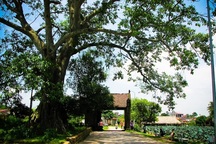 Kiến trúc xanh là như thế