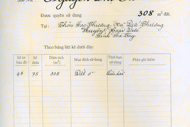 Phó Thủ tướng yêu cầu xử lý nghiêm sai phạm sau 25 kỳ báo điều tra trên Báo Dân trí