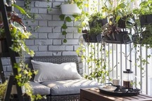 Nhà chung cư “lột xác” ấn tượng nhờ những khu vườn cây xanh bắt mắt