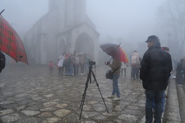 Sa Pa lạnh 3 độ C, hoa địa lan và trâu bò “lên đường” đi tránh rét