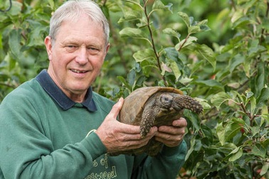 Hô hấp nhân tạo suốt một tiếng để cứu sống rùa