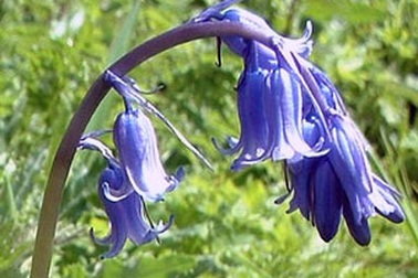 Biện pháp phòng ngừa gãy “súng”