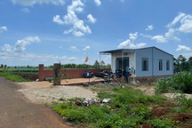 Đất trồng cây lâu năm "tích tắc" thành đất ở