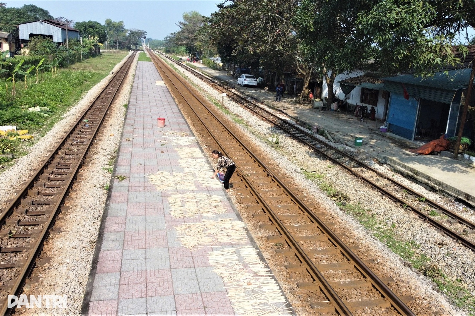 ການຫາເງິນລະຫວ່າງເທດສະການກັບວຽກເຮັດການແຍກໝາກເຜັດ ແລະເຮັດຟັກ - 1 Hái tiền dịp Tết với nghề chẻ cau vót đũa - 1