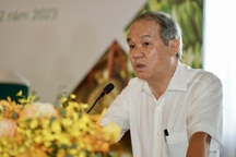 Công ty bầu Đức muốn dùng cổ phiếu để đổi khoản nợ 2.520 tỷ đồng