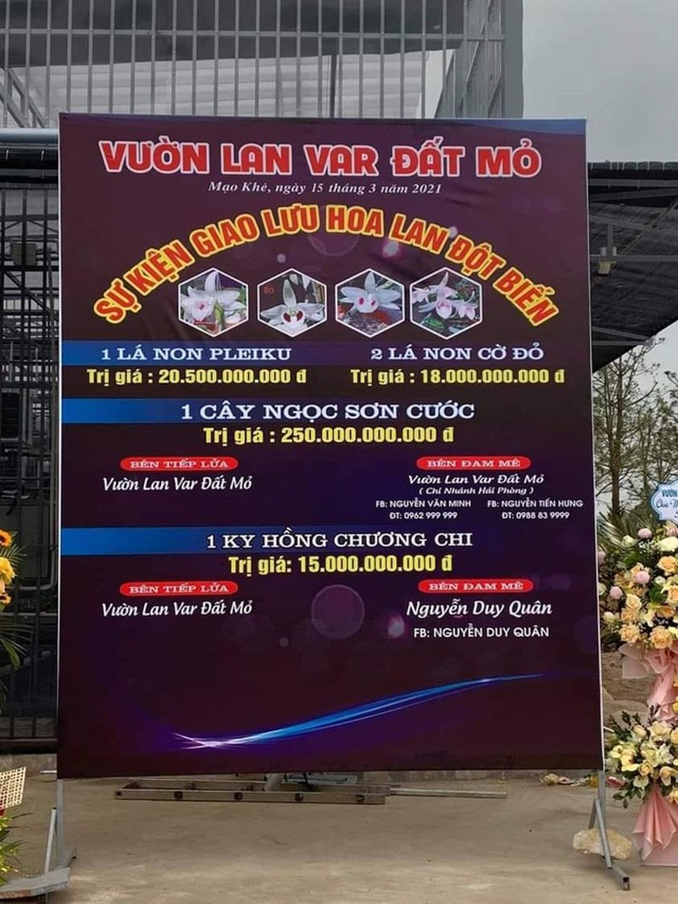 Náo loạn giao dịch lan đột biến hàng trăm tỷ đồng: Cẩn thận sập bẫy! - 1 Náo loạn giao dịch lan đột biến hàng trăm tỷ đồng: Cẩn thận sập bẫy! - 1