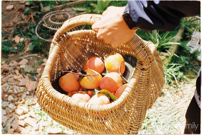 Yêu Đà Lạt bởi khí hậu và cảnh quan, cặp vợ chồng 9X quyết rời Sài Gòn về xây nhà vườn bình yên - Ảnh 19. Yêu Đà Lạt bởi khí hậu và cảnh quan, cặp vợ chồng 9X quyết rời Sài Gòn về xây nhà vườn bình yên - Ảnh 19.