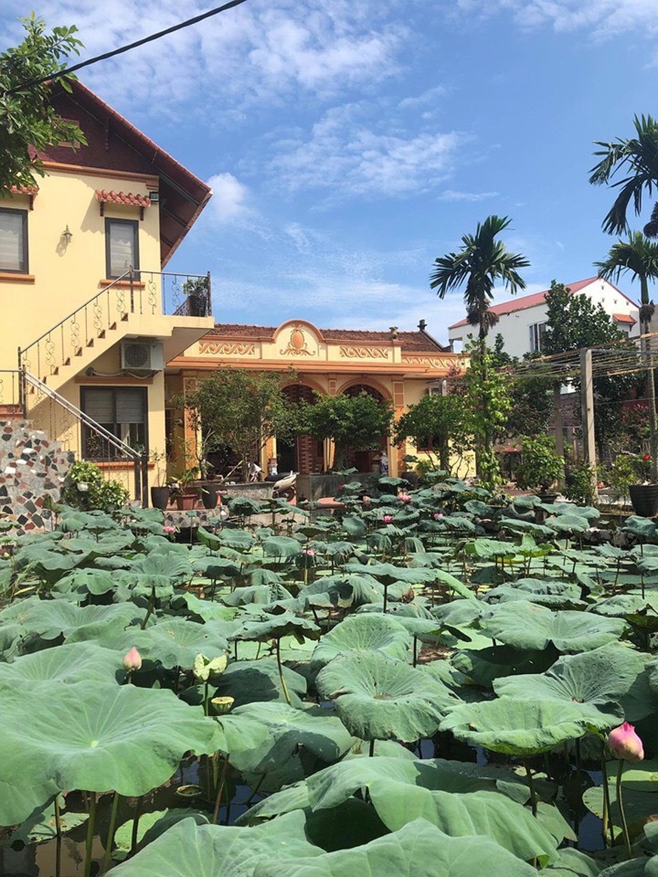 Mua đất ngoại ô làm nhà vườn, không ngờ 10 năm sau thành tài sản đắt giá - 1 Mua đất ngoại ô làm nhà vườn, không ngờ 10 năm sau thành tài sản đắt giá - 1