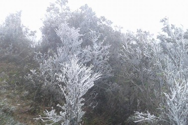 Đợt “siêu rét” sẽ kéo dài đến giữa tuần