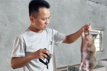 Kỹ sư 9X bỏ nghề về nuôi loài "ăn đêm ngủ ngày", mỗi năm lãi 200 triệu đồng