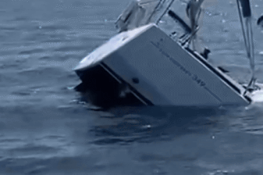 Cá voi sát thủ lao vào tấn công, một du thuyền bị đánh chìm xuống biển