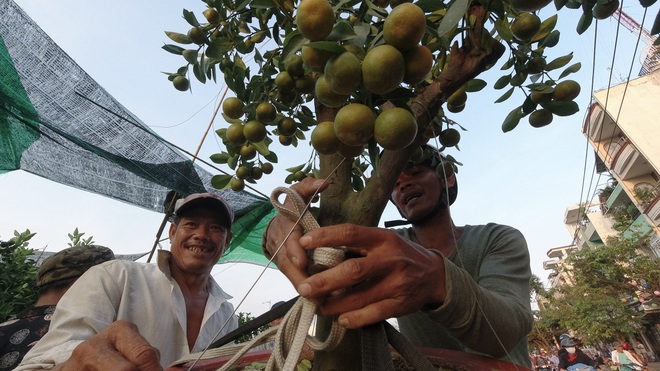 Một lần đi chợ hoa trên bến dưới thuyền độc, lạ nhất Sài Gòn - 12 Một lần đi chợ hoa trên bến dưới thuyền độc, lạ nhất Sài Gòn - 12