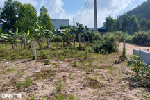 Khởi tố loạt cán bộ liên quan đến sai phạm đất đai