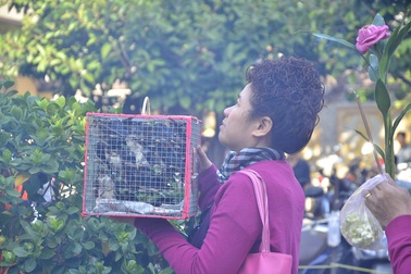 Chim, cá được phóng sinh chưa kịp tự do đã bị bắt lại