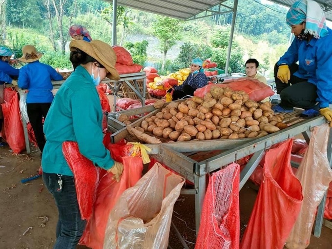 Các tỉnh thành chủ động triển khai chi trả gói hỗ trợ 26 nghìn tỷ đúng đối tượng - Ảnh 3.