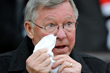 Sir Alex sẽ chọn người kế vị David Moyes