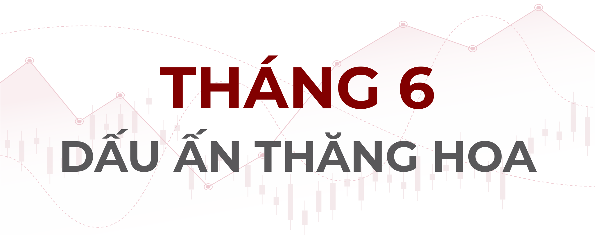 12 tháng sôi động của chứng khoán Việt Nam năm 2021 - 12 12 tháng sôi động của chứng khoán Việt Nam năm 2021 - 12